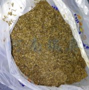 2021年適合投資酒糟烘干機嗎？